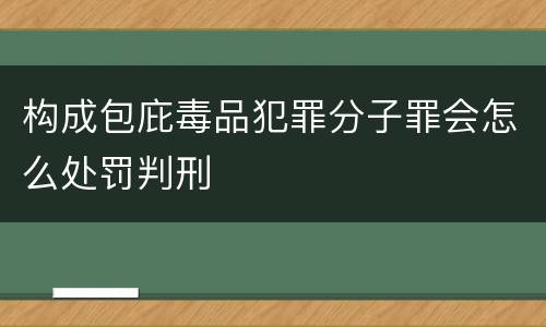 构成包庇毒品犯罪分子罪会怎么处罚判刑