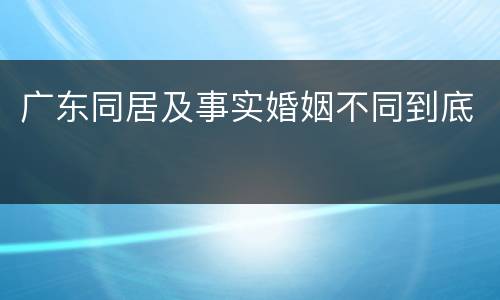广东同居及事实婚姻不同到底