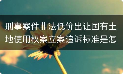 刑事案件非法低价出让国有土地使用权案立案追诉标准是怎样规定