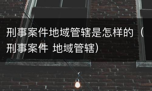 刑事案件地域管辖是怎样的（刑事案件 地域管辖）