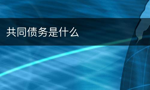 共同债务是什么