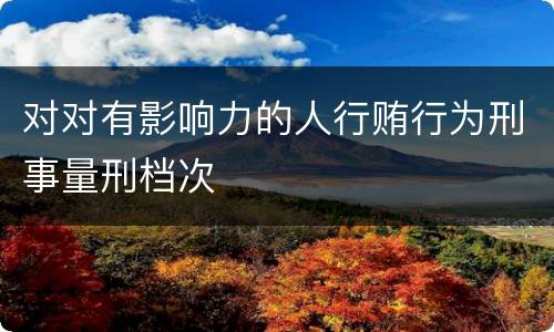 对对有影响力的人行贿行为刑事量刑档次