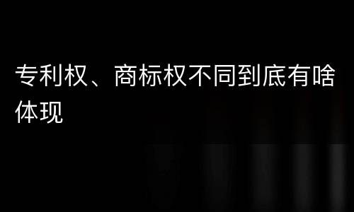专利权、商标权不同到底有啥体现