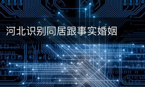 河北识别同居跟事实婚姻
