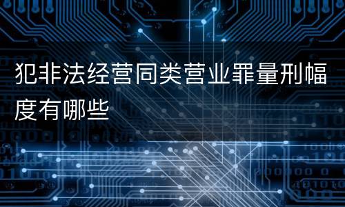 犯非法经营同类营业罪量刑幅度有哪些