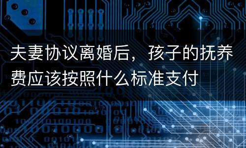 夫妻协议离婚后，孩子的抚养费应该按照什么标准支付