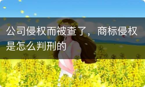 公司侵权而被查了，商标侵权是怎么判刑的