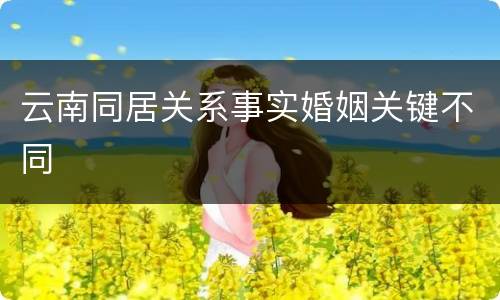 云南同居关系事实婚姻关键不同