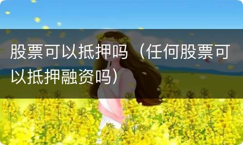 股票可以抵押吗（任何股票可以抵押融资吗）
