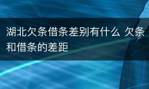 湖北欠条借条差别有什么 欠条和借条的差距