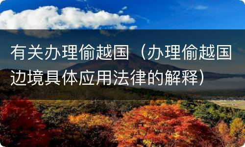 有关办理偷越国（办理偷越国边境具体应用法律的解释）