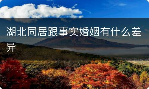 湖北同居跟事实婚姻有什么差异