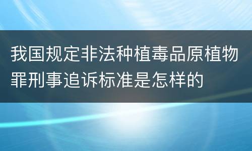 我国规定非法种植毒品原植物罪刑事追诉标准是怎样的