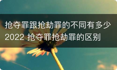 抢夺罪跟抢劫罪的不同有多少2022 抢夺罪抢劫罪的区别