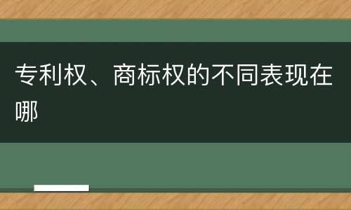 专利权、商标权的不同表现在哪
