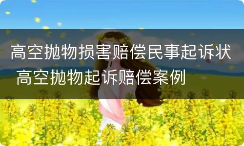 高空抛物损害赔偿民事起诉状 高空抛物起诉赔偿案例