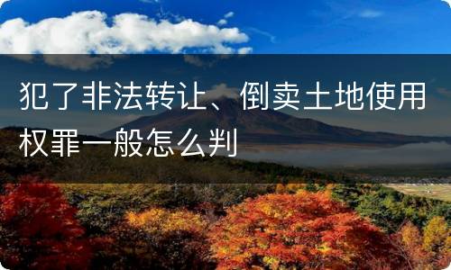 犯了非法转让、倒卖土地使用权罪一般怎么判