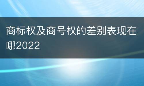 商标权及商号权的差别表现在哪2022