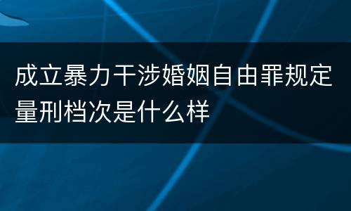 成立暴力干涉婚姻自由罪规定量刑档次是什么样