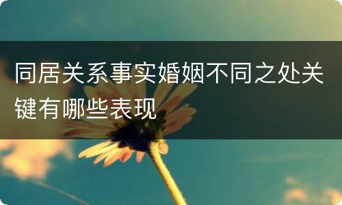 同居关系事实婚姻不同之处关键有哪些表现