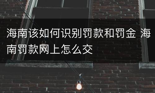 海南该如何识别罚款和罚金 海南罚款网上怎么交
