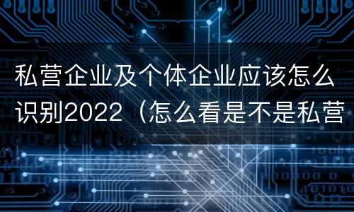 私营企业及个体企业应该怎么识别2022（怎么看是不是私营企业）