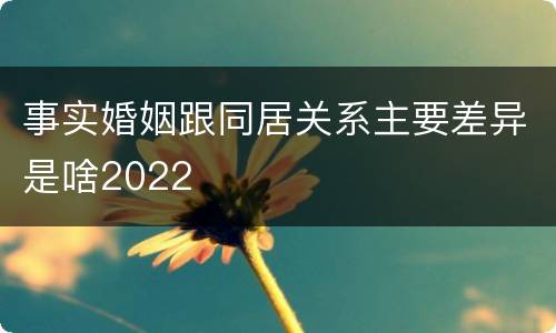 事实婚姻跟同居关系主要差异是啥2022