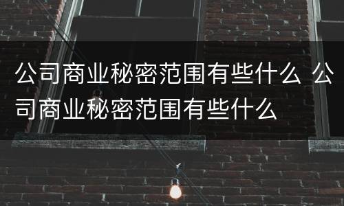 公司商业秘密范围有些什么 公司商业秘密范围有些什么