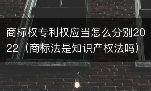 商标权专利权应当怎么分别2022（商标法是知识产权法吗）
