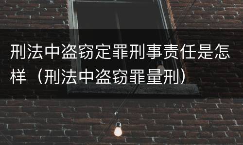刑法中盗窃定罪刑事责任是怎样（刑法中盗窃罪量刑）