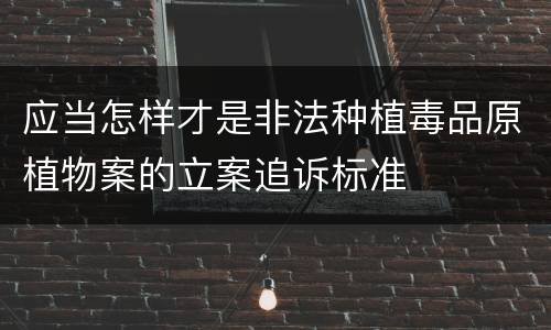 应当怎样才是非法种植毒品原植物案的立案追诉标准
