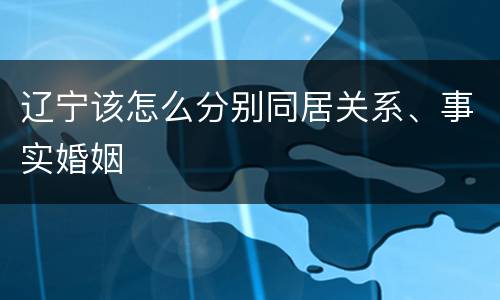 辽宁该怎么分别同居关系、事实婚姻
