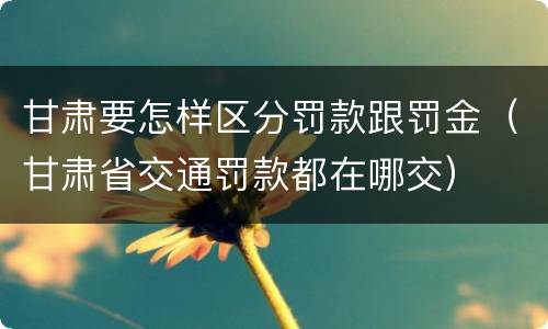 甘肃要怎样区分罚款跟罚金（甘肃省交通罚款都在哪交）