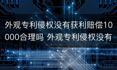 外观专利侵权没有获利赔偿10000合理吗 外观专利侵权没有获利赔偿10000合理吗为什么