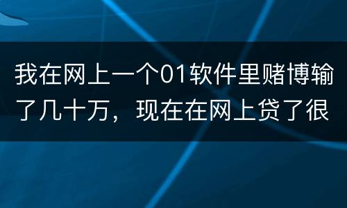 我在网上一个01软件里赌博输了几十万，现在在网上贷了很多网贷，还不起了，怎么办