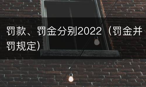 罚款、罚金分别2022（罚金并罚规定）