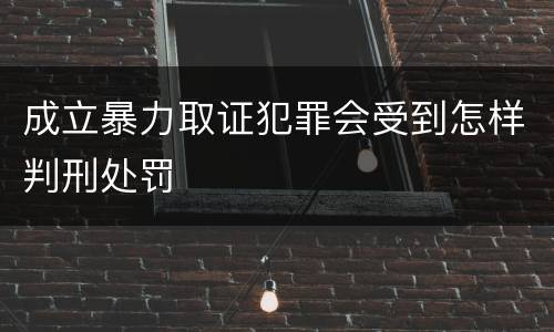成立暴力取证犯罪会受到怎样判刑处罚