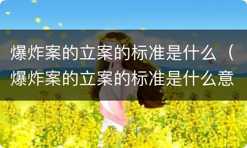 爆炸案的立案的标准是什么（爆炸案的立案的标准是什么意思）