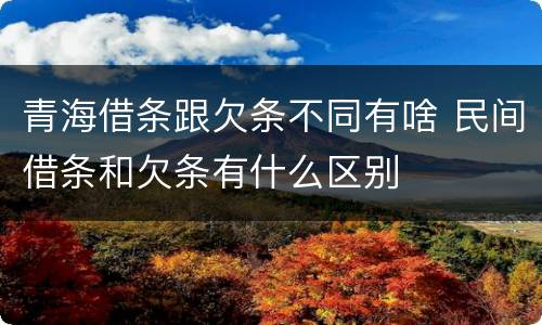 青海借条跟欠条不同有啥 民间借条和欠条有什么区别