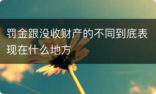 罚金跟没收财产的不同到底表现在什么地方