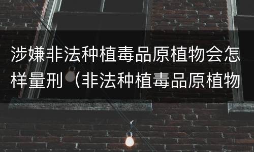 涉嫌非法种植毒品原植物会怎样量刑（非法种植毒品原植物罪量刑指导意见）