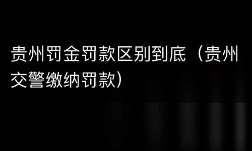 贵州罚金罚款区别到底（贵州交警缴纳罚款）