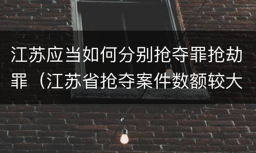 江苏应当如何分别抢夺罪抢劫罪（江苏省抢夺案件数额较大）