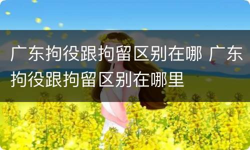 广东拘役跟拘留区别在哪 广东拘役跟拘留区别在哪里