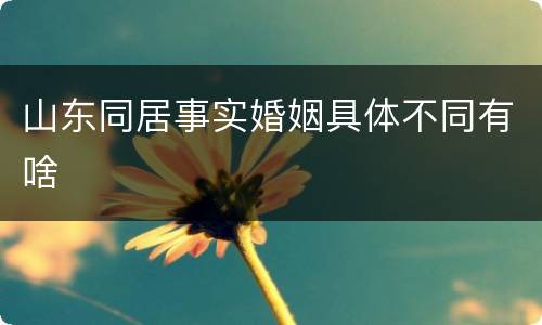 山东同居事实婚姻具体不同有啥