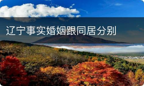 辽宁事实婚姻跟同居分别