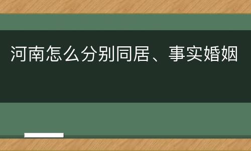 河南怎么分别同居、事实婚姻