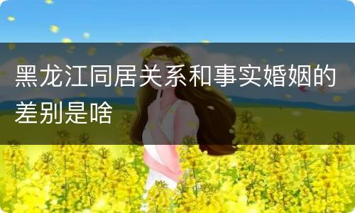 黑龙江同居关系和事实婚姻的差别是啥