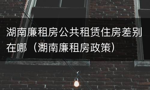 湖南廉租房公共租赁住房差别在哪（湖南廉租房政策）