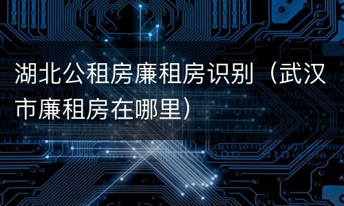 湖北公租房廉租房识别（武汉市廉租房在哪里）